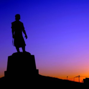 Transporte-cachorro-porto-alegre